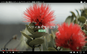 スクリーンショット 2025-05-05 午後1.43.36